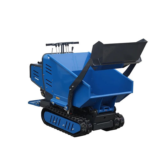 RD06